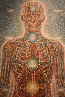 Alex Grey | Galactic ResonanceGalactic Resonance